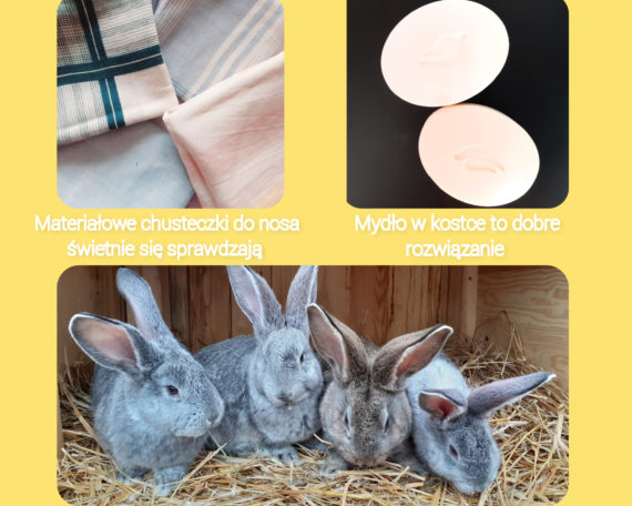 Julia_Grabarkiewicz_2pa-_kolaż_3[1]