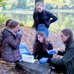 Rajd hybrydowy „Ku Niepodległości”.