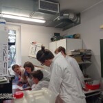 Zajęcia w ramach Escape Lab