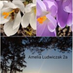 Zdjęcie przedstawia wiosnę