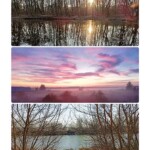 Zdjęcie przedstawia wiosnę